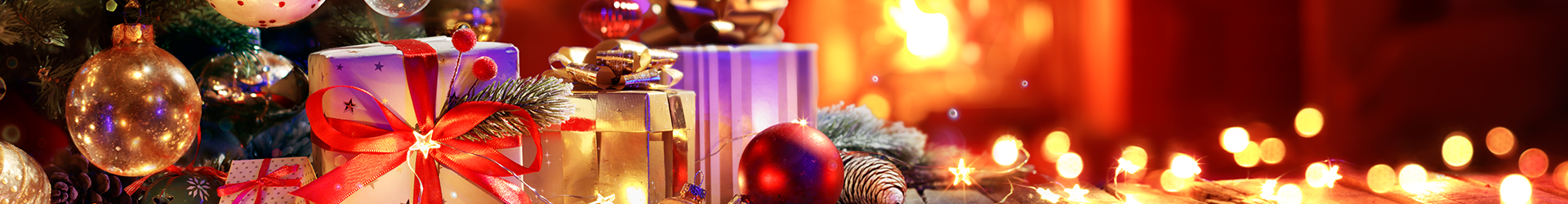 Holiday Gift Guide